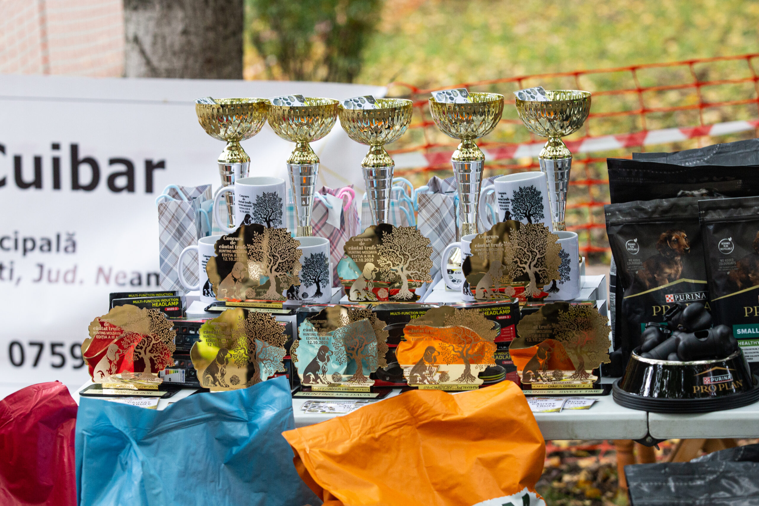 Hunting Moldavia Day 3